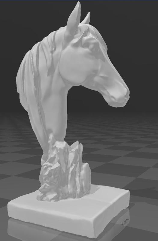 Horse Bust