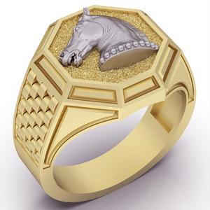 Horse ring