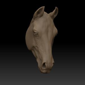 Horse Head
