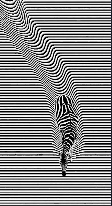 Zebra Illusion Art / Wall Art / HueForge / 2d art