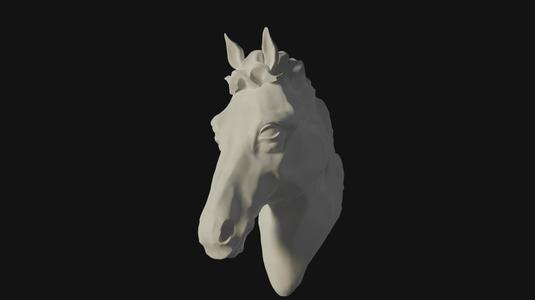 horse head