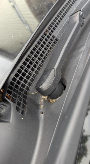 wiper cover subaru outback 2021