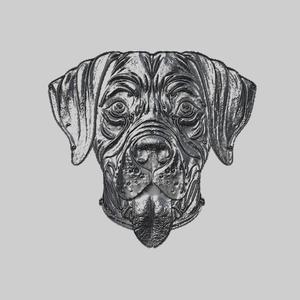 Dog Animal Metal Head
