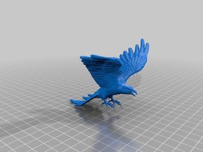 Hawk Modified