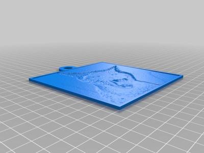 My Cat Lithopane