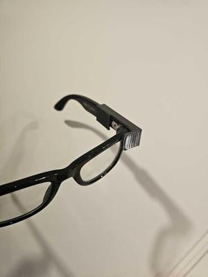 Ray-Ban Meta Wayfarer simple privacy shield