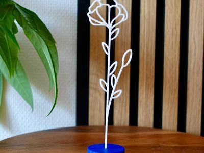 Geboortebloem januari  - Anjer