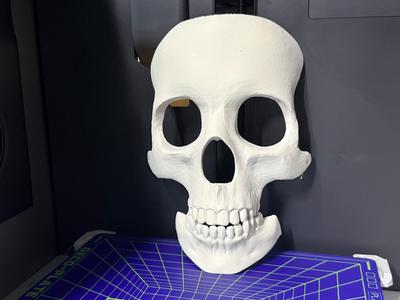 Skull Mask