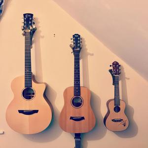 Electric and Creole guitar support