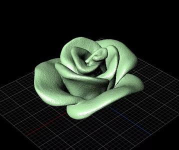 Rose Stl File