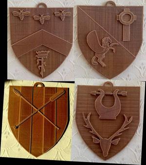 Shieldlet