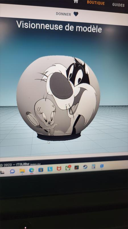 lithopnanie titi et gros minet