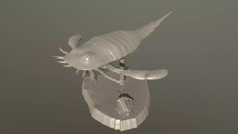 Eurypterus remipes