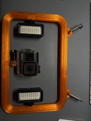 Video Dive Tray