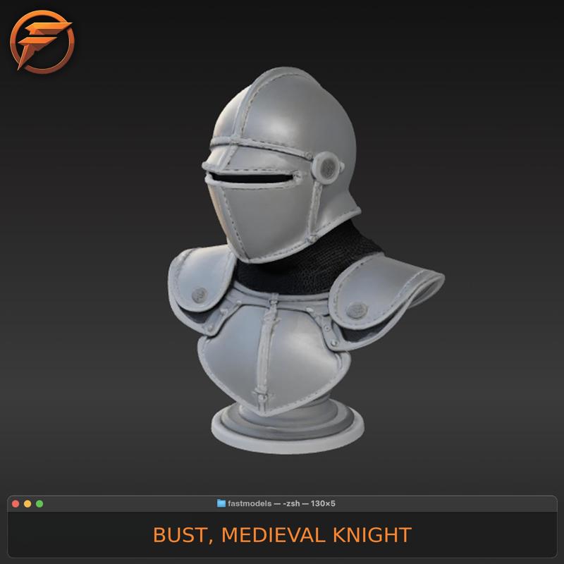 MEDIEVAL KNIGHT BUST