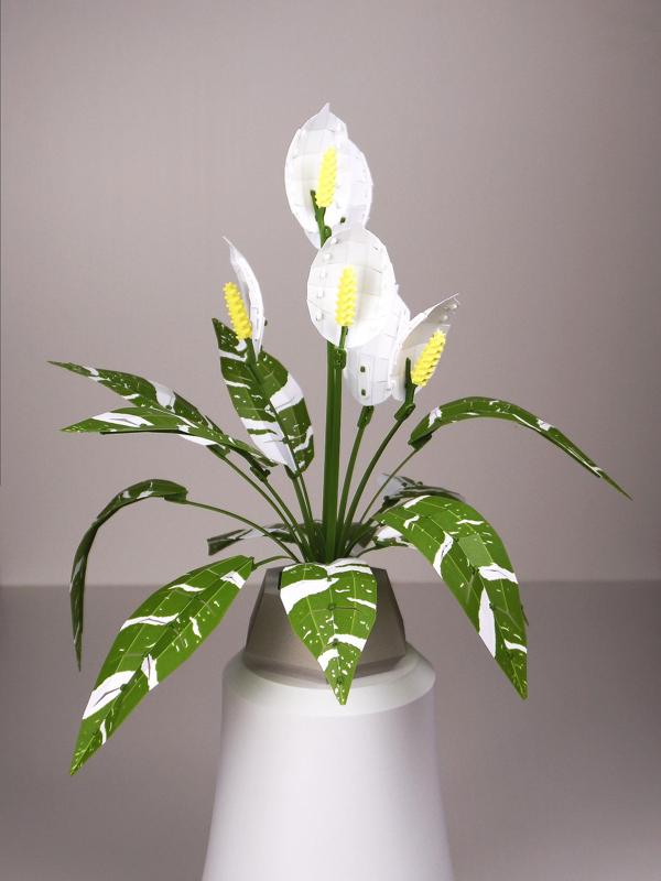 Low Poly Plant - Peace Lily