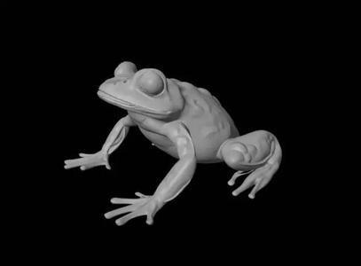 Frogg