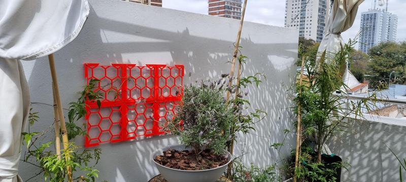 climbing plant support