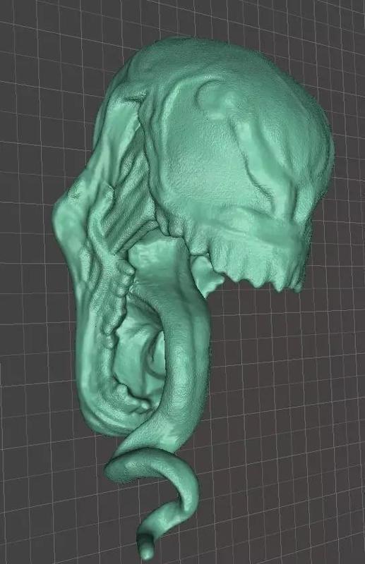 Venom Head