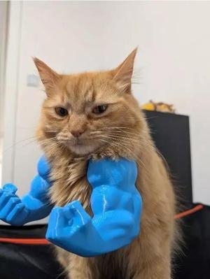 Hulk arm for cat and dog