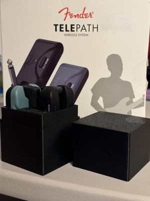 Fender Telepath housing