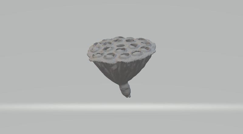 Lotus Pod 3D Model 3D print model