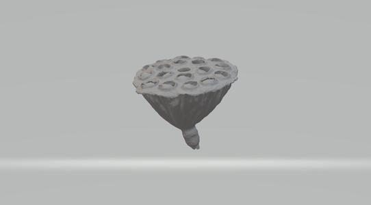 Lotus Pod 3D Model 3D print model