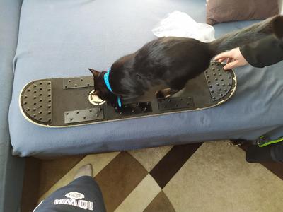 Snowskate Grip Xtreme