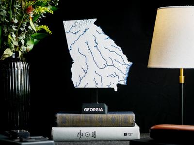 Georgia, USA (GA) Topographic Map