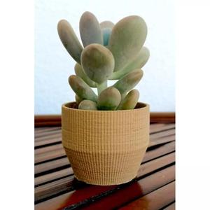 Landy vase - Striped 6