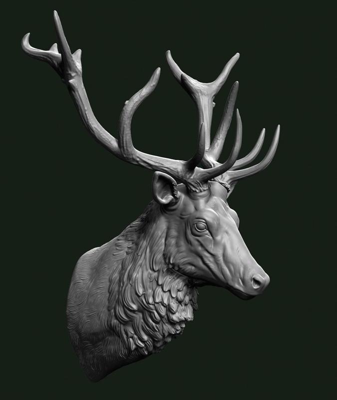 Stag bust
