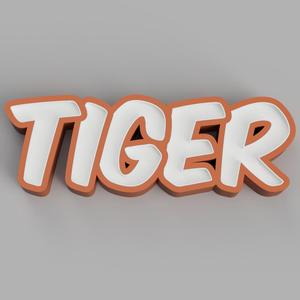 NAMELED TIGER - LED LAMP WITH NAME