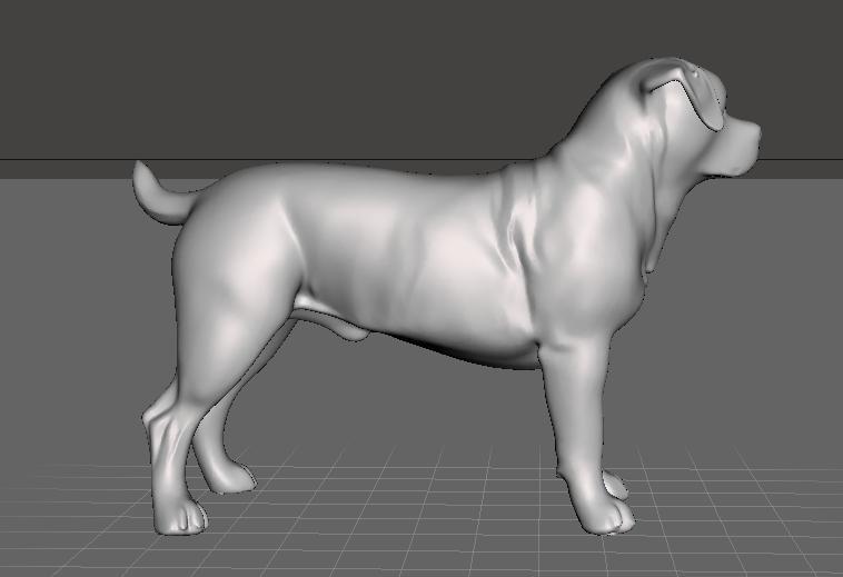 rottweiler dog breed