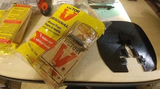 Dog/ Cat Pet Trainer