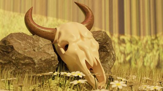 Bull Skull