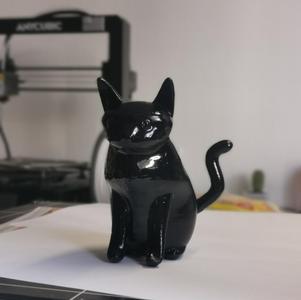 Sitting Cat