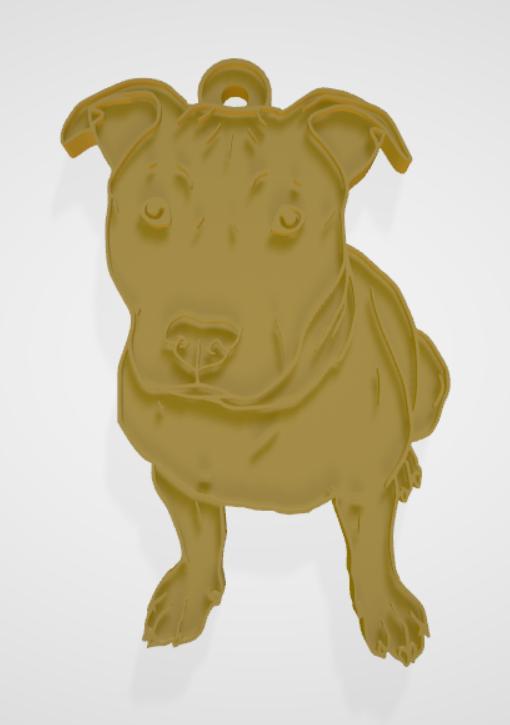 Cute dog