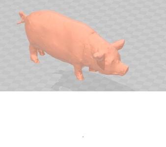 pig