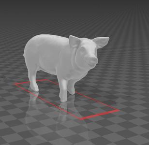Pig