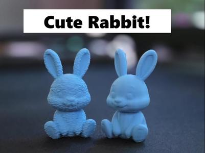 Cute Bunny Fuzzy Skin & Normal