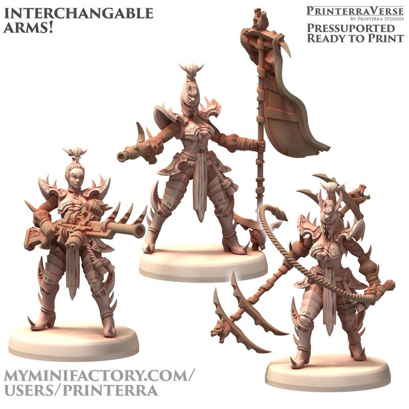 031 DAIXIYA Space Elf Cheung Dark Royal Guard