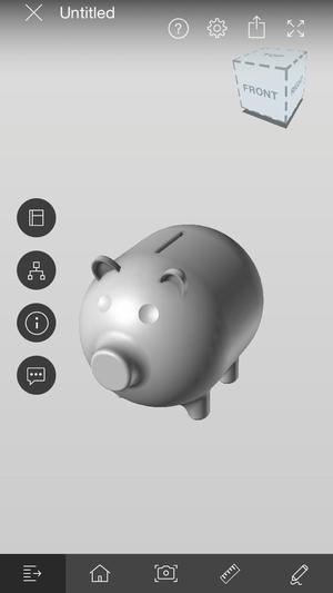 hog pig