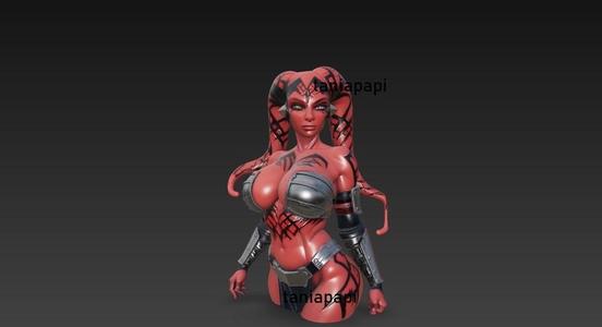 Star wars girl bust