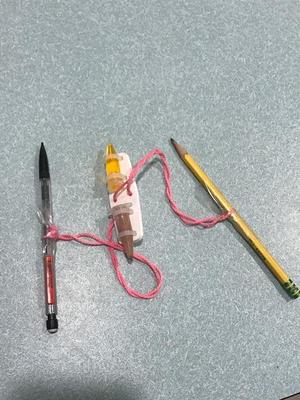 CentriWhirl Whirligig Centrifuge