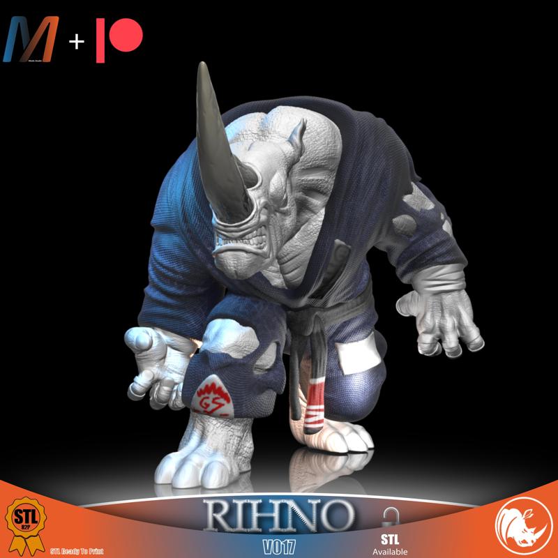 V017 - RHINO