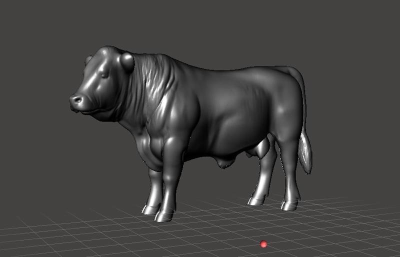 Toro Angus - Angus bull breed