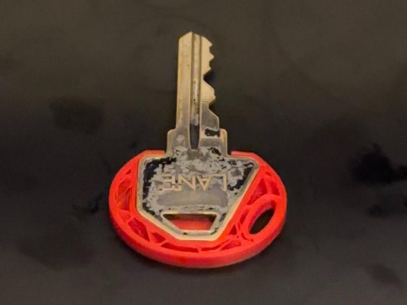 Lane C4 key cover / bow