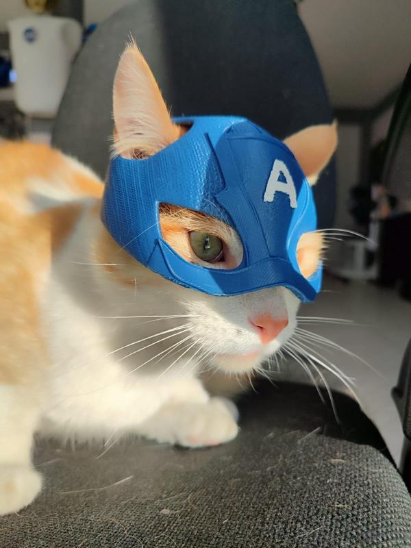 CAT AMERICA (CAPTAIN AMERICA)