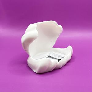 Sea Shell tray - holds rings, keys, soap and more