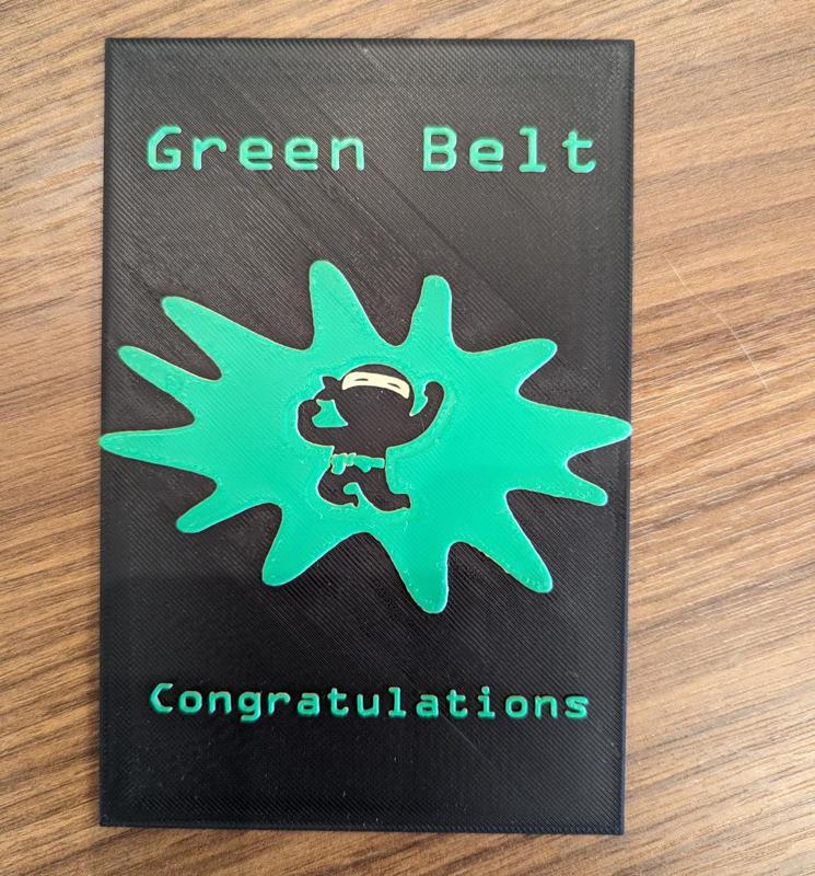 Code Ninjas/Martial Arts Green Belt Plaque